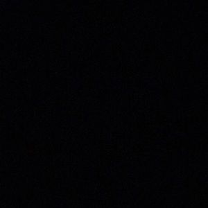 Meet your Posher, Rose